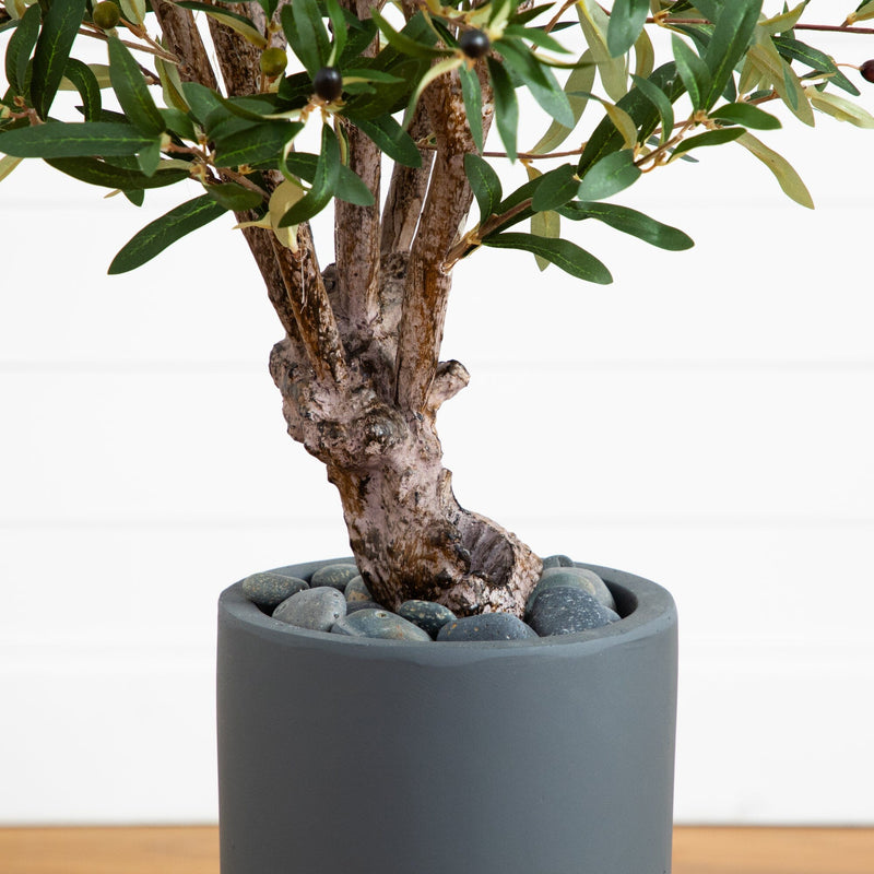 3.5' Olive Tree in Gray Cylinder Planter - BlueJay Avenue