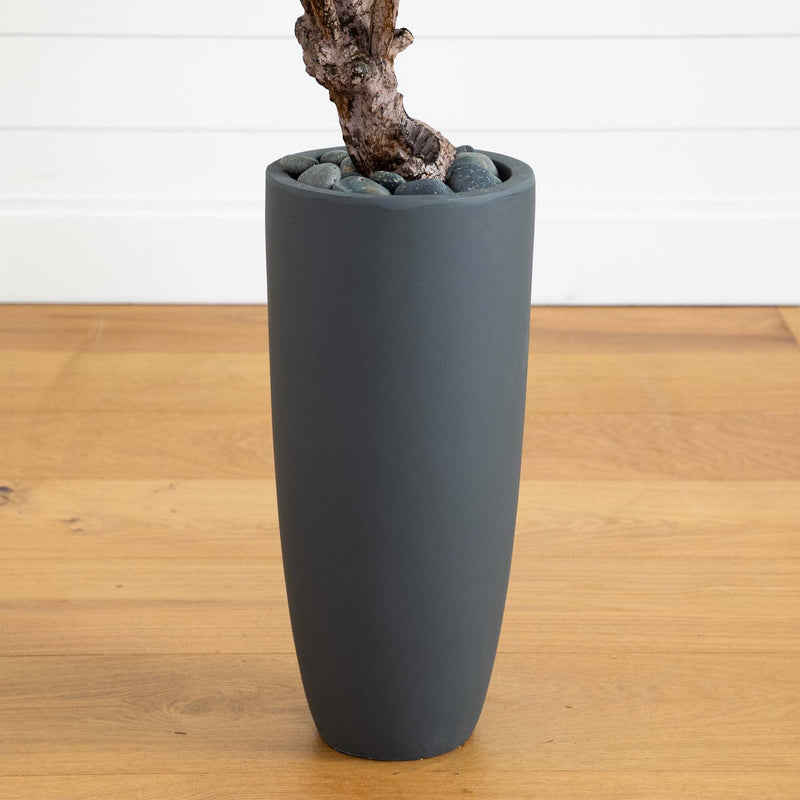 3.5' Olive Tree in Gray Cylinder Planter - BlueJay Avenue