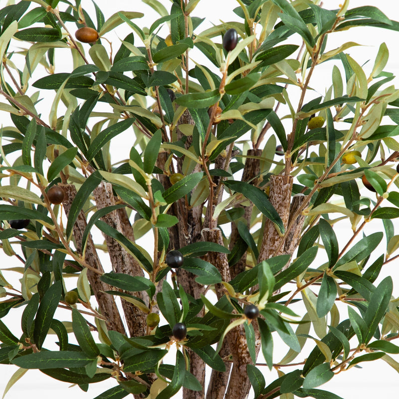 3.5' Olive Tree in Gray Cylinder Planter - BlueJay Avenue