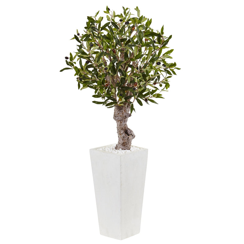 3.5' Olive Tree in White Tower Planter - BlueJay Avenue