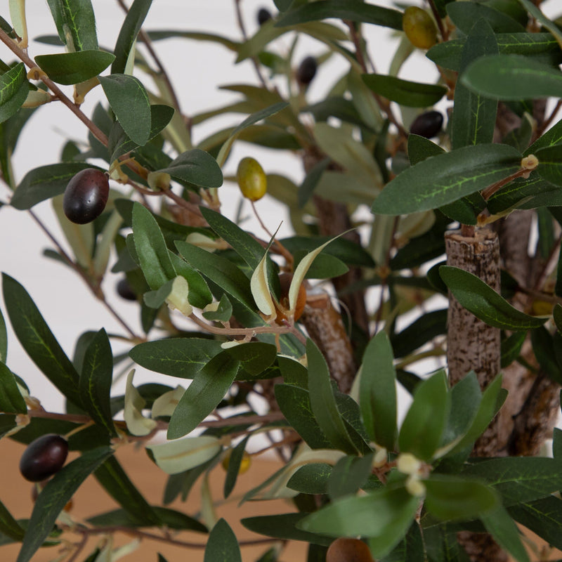 3.5' Olive Tree in White Tower Planter - BlueJay Avenue