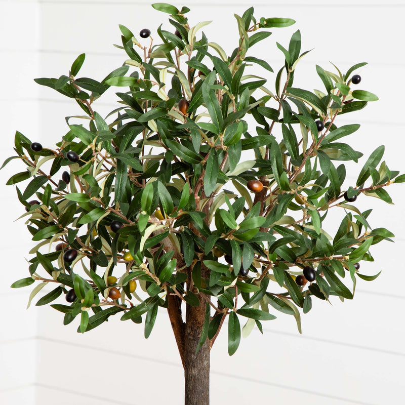 4.5' Olive Double Topiary Tree - BlueJay Avenue