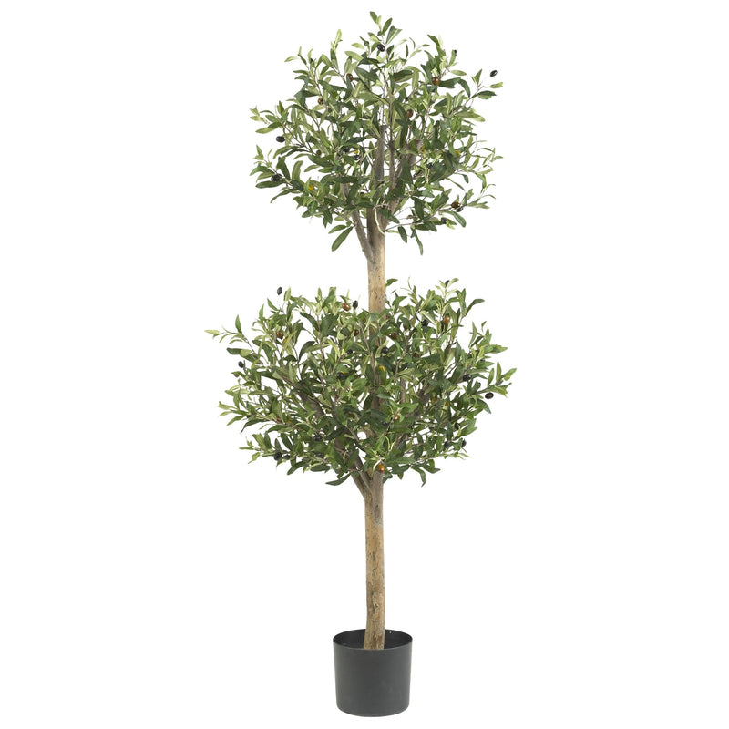 4.5' Olive Double Topiary Tree - BlueJay Avenue