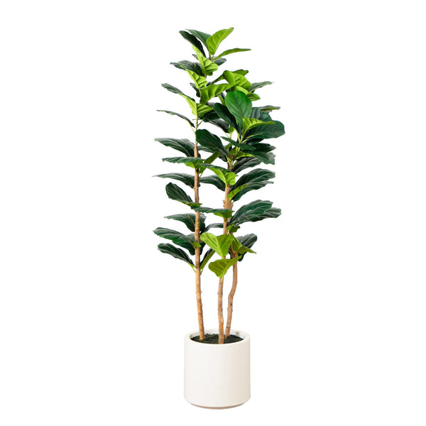 5’ Artificial Fiddle Leaf Tree in White Planter - BlueJay Avenue