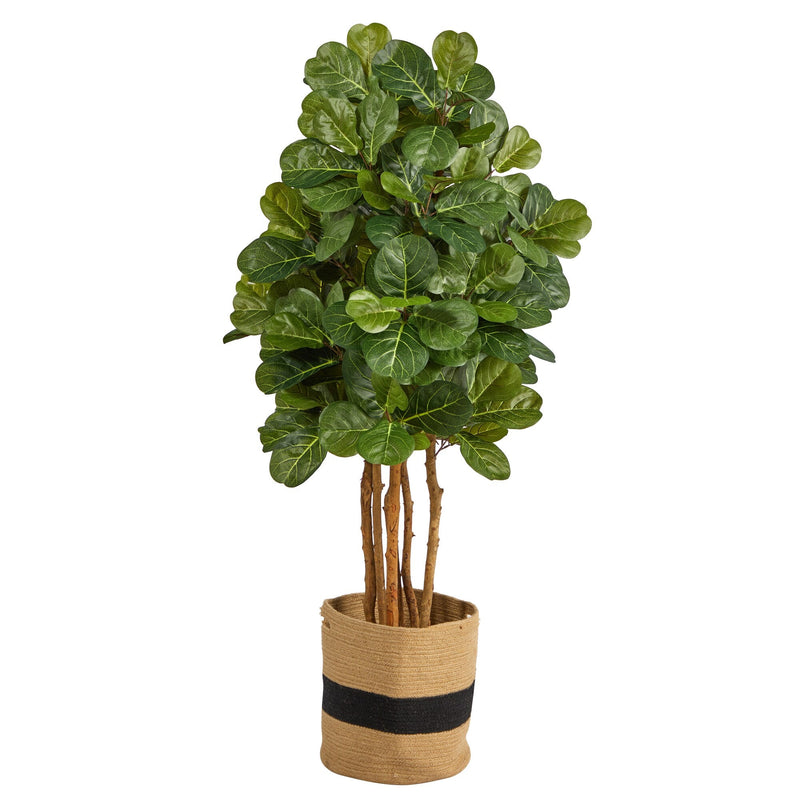 5' Fiddle Leaf Fig Tree in Handmade Natural Cotton Planter - BlueJay Avenue