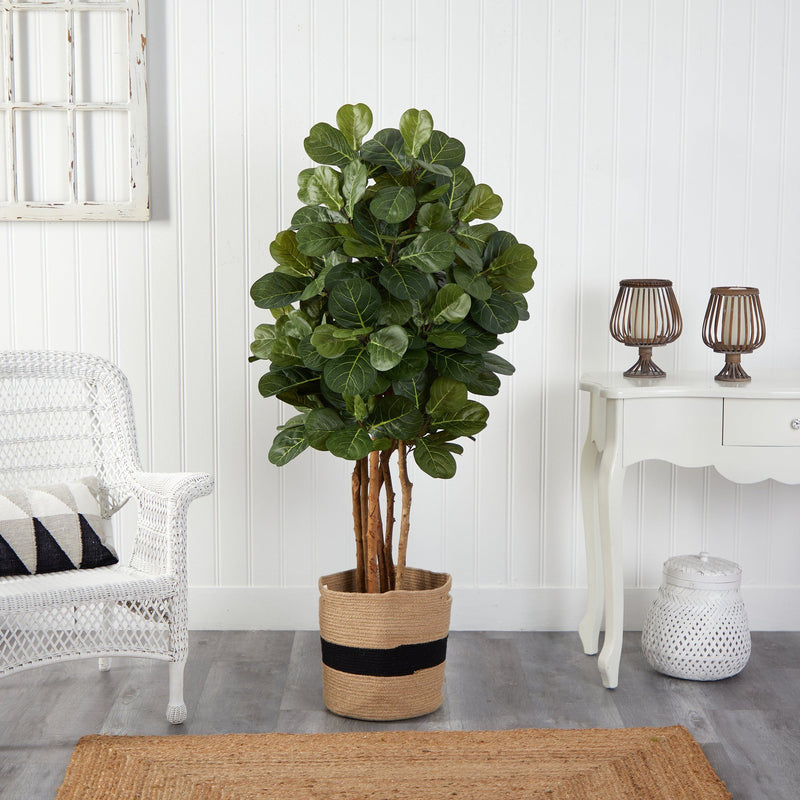 5' Fiddle Leaf Fig Tree in Handmade Natural Cotton Planter - BlueJay Avenue