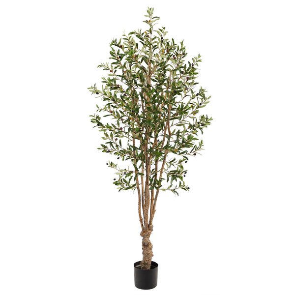 5' Olive Artificial Tree - BlueJay Avenue