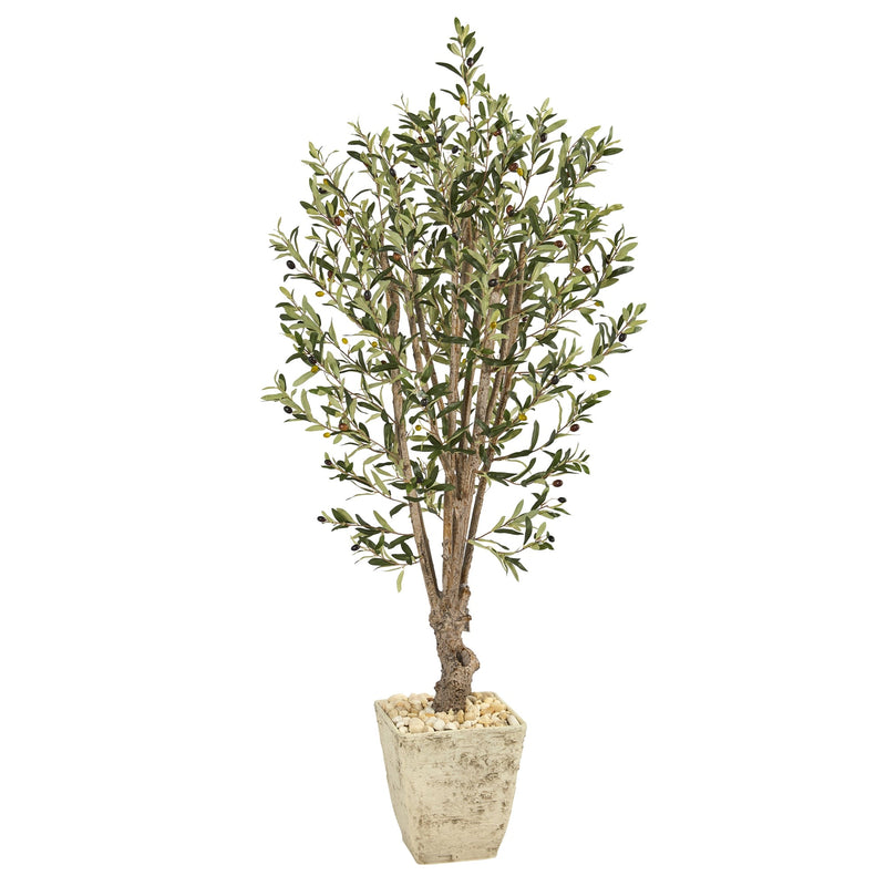 5' Olive Artificial Tree in Country White Planter - BlueJay Avenue