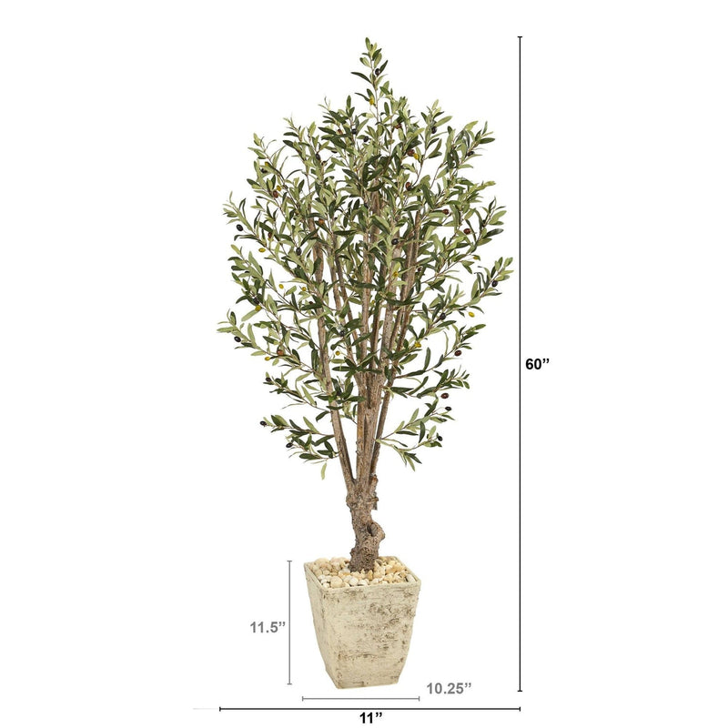 5' Olive Artificial Tree in Country White Planter - BlueJay Avenue