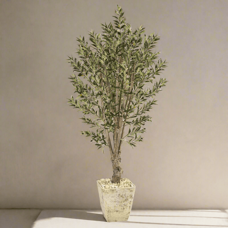 5' Olive Artificial Tree in Country White Planter - BlueJay Avenue