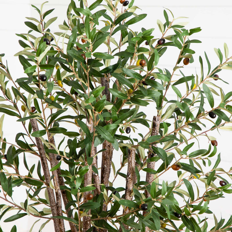 5' Olive Silk Tree - BlueJay Avenue