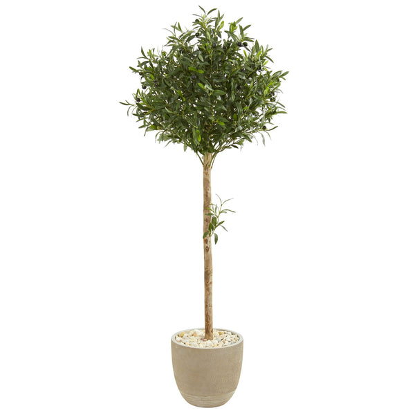 5' Olive Topiary Artificial Tree in Planter - BlueJay Avenue