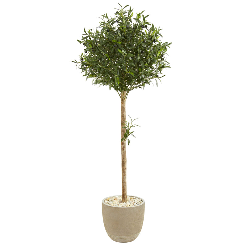 5' Olive Topiary Artificial Tree in Planter - BlueJay Avenue