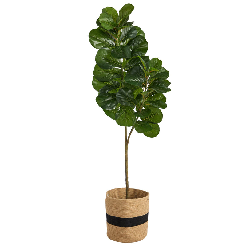 5.5' Fiddle Leaf Fig Tree in Handmade Natural Cotton Planter - BlueJay Avenue