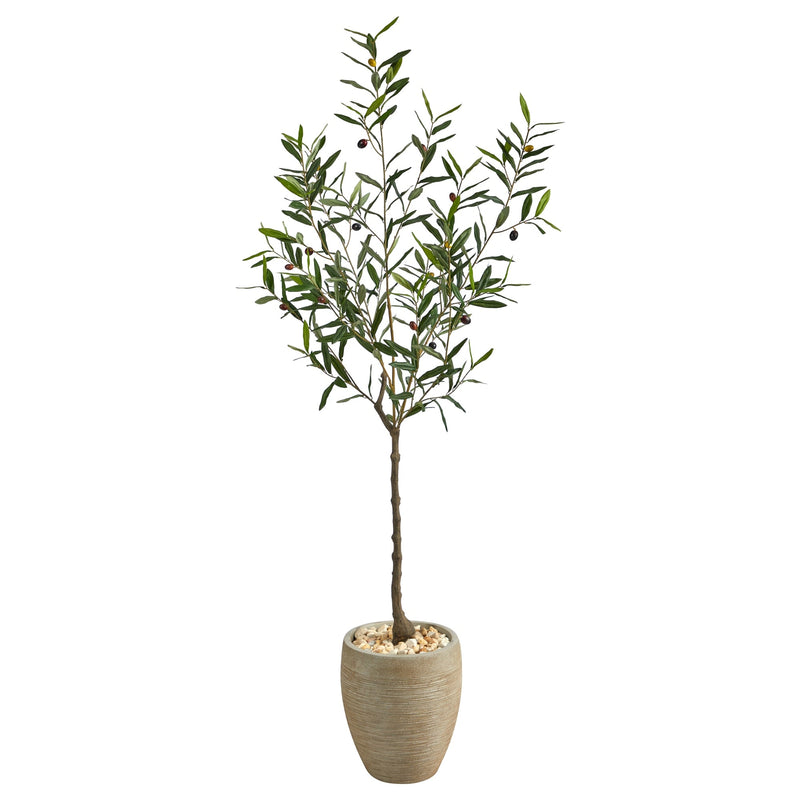 5.5' Olive Artificial Tree in Sand Colored Planter - BlueJay Avenue