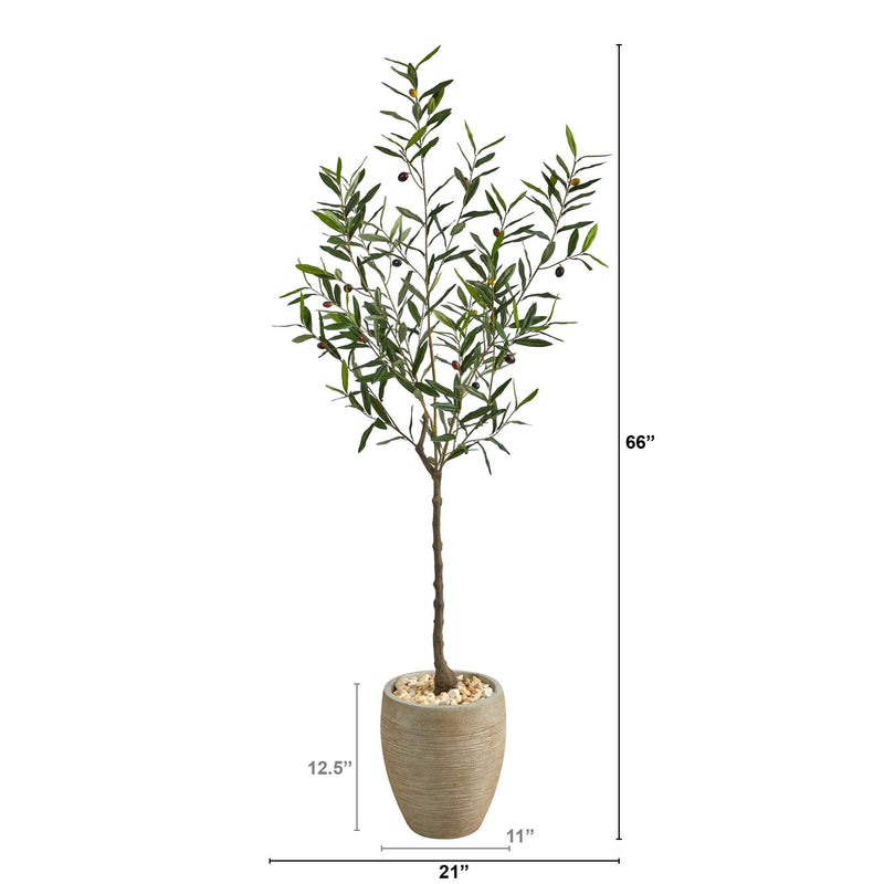 5.5' Olive Artificial Tree in Sand Colored Planter - BlueJay Avenue