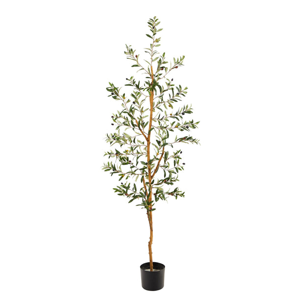 5.5' Olive Artificial Tree with 690 Leaves - BlueJay Avenue