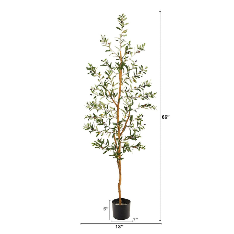 5.5' Olive Artificial Tree with 690 Leaves - BlueJay Avenue