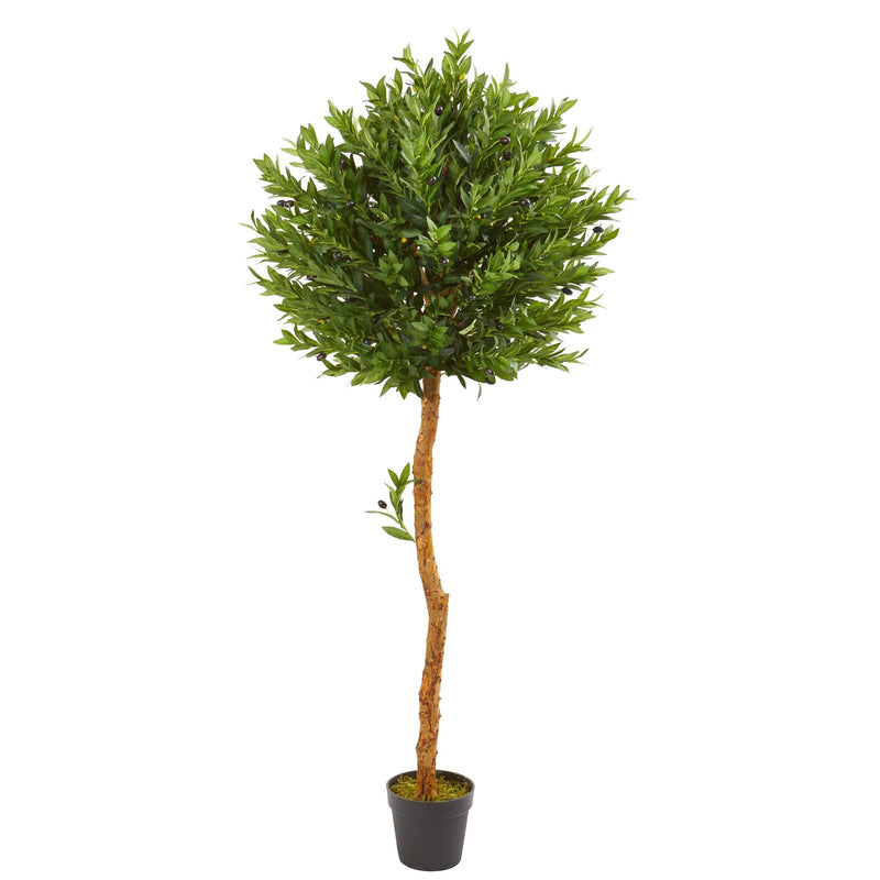 5.5' Outdoor Olive Artificial Tree UV Resistant - BlueJay Avenue