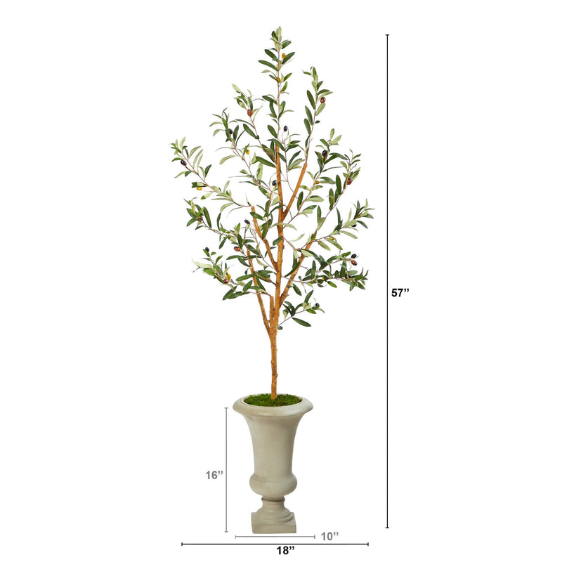 57" Olive Artificial Tree in Sand Colored Urn - BlueJay Avenue