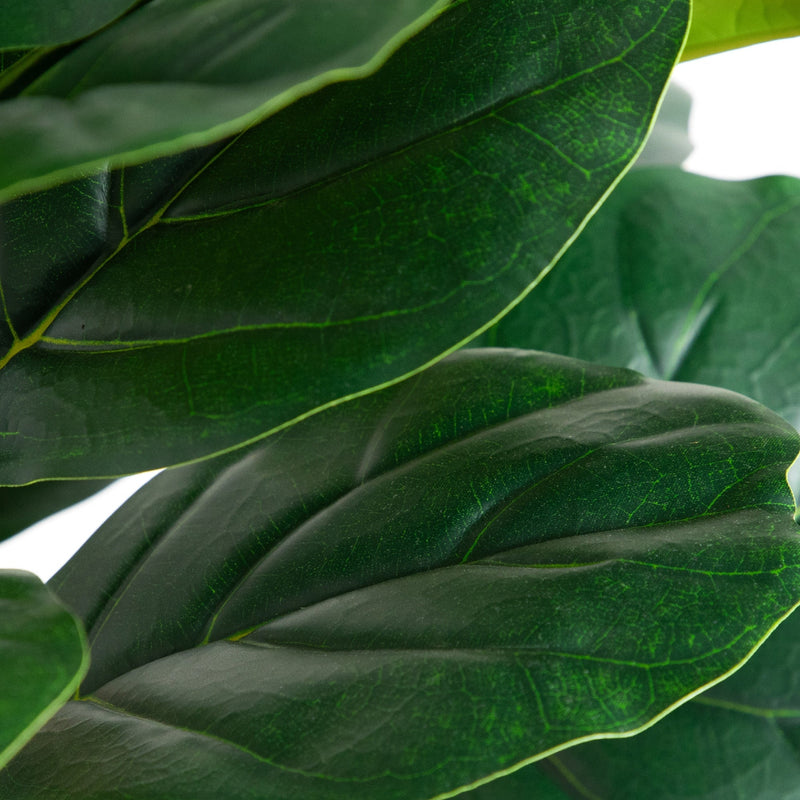 6’ Artificial Fiddle Leaf Tree in White Planter - BlueJay Avenue