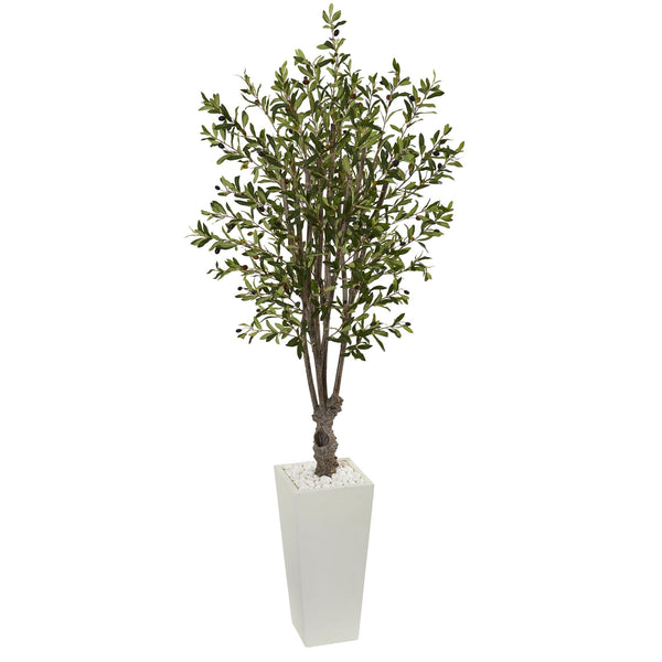 6' Olive Tree in White Tower Planter - BlueJay Avenue