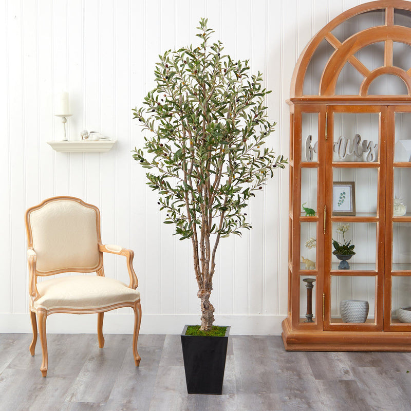 6.5' Olive Artificial Tree in Black Metal Planter - BlueJay Avenue