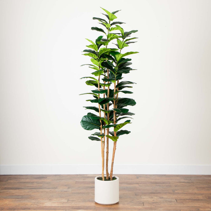 7’ Artificial Fiddle Leaf Tree in Decorative White Planter - BlueJay Avenue