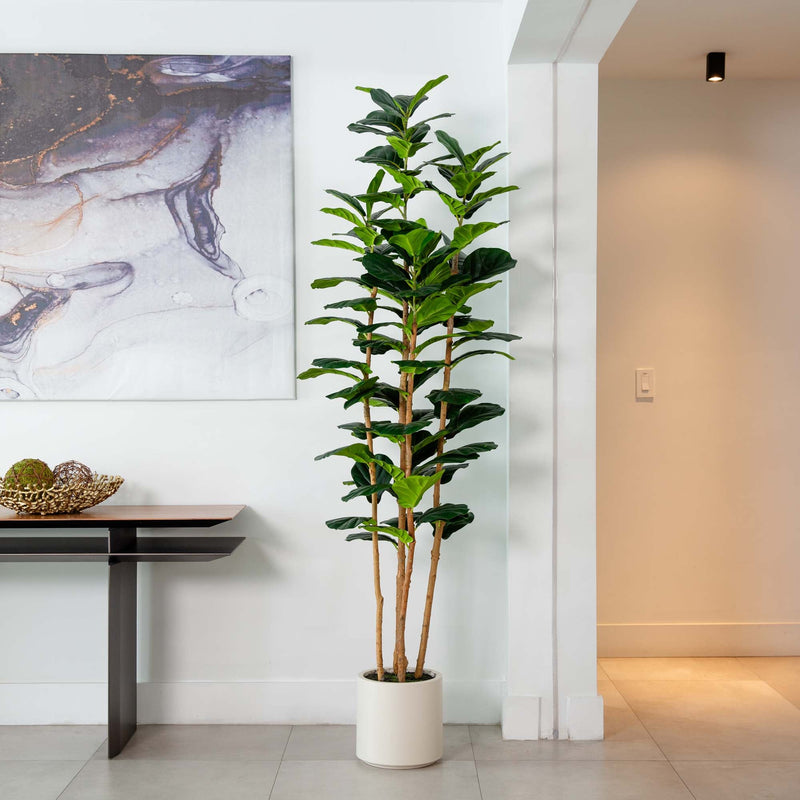 7’ Artificial Fiddle Leaf Tree in Decorative White Planter - BlueJay Avenue