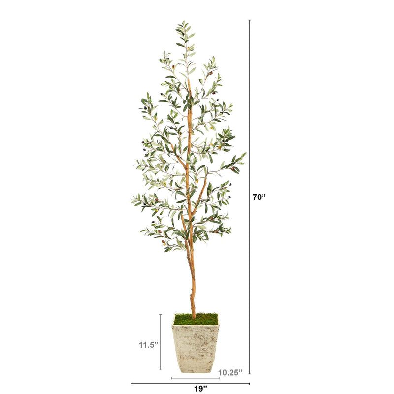 70" Olive Artificial Tree in Country White Planter - BlueJay Avenue