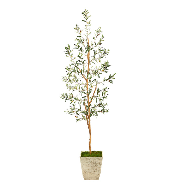 70" Olive Artificial Tree in Country White Planter - BlueJay Avenue