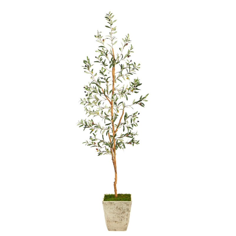 70" Olive Artificial Tree in Country White Planter - BlueJay Avenue