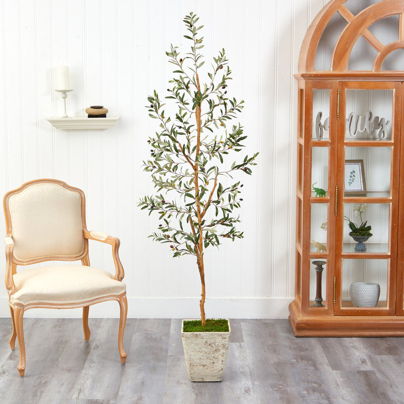 70" Olive Artificial Tree in Country White Planter - BlueJay Avenue