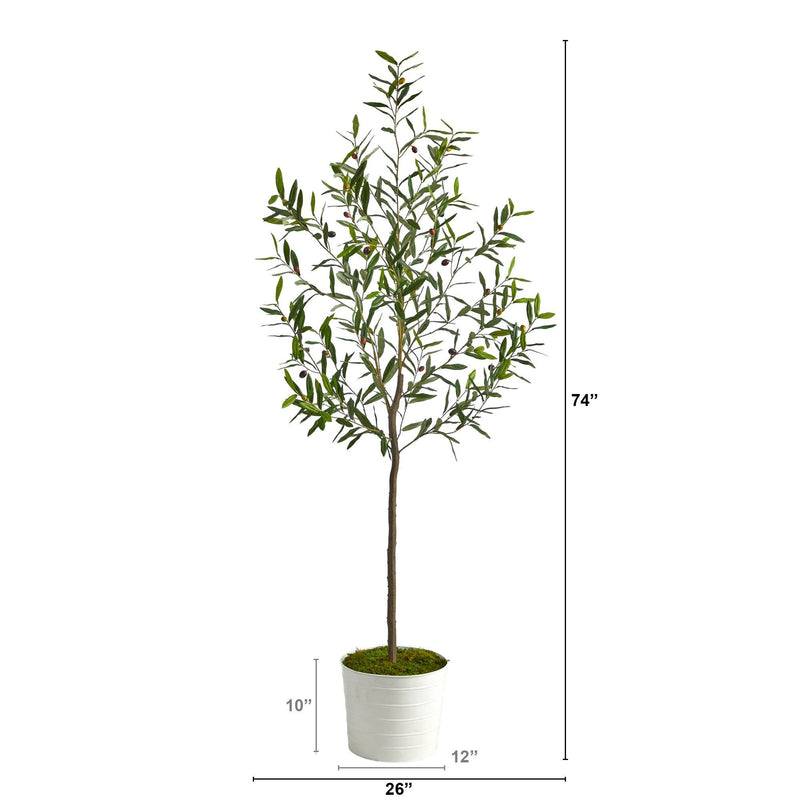 70" Olive Artificial Tree in White Tin Planter - BlueJay Avenue