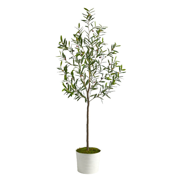 70" Olive Artificial Tree in White Tin Planter - BlueJay Avenue