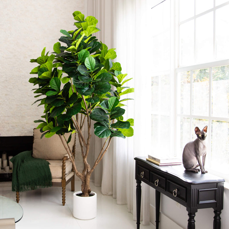 8’ Artificial Fiddle Leaf Tree in White Decorative Planter - BlueJay Avenue