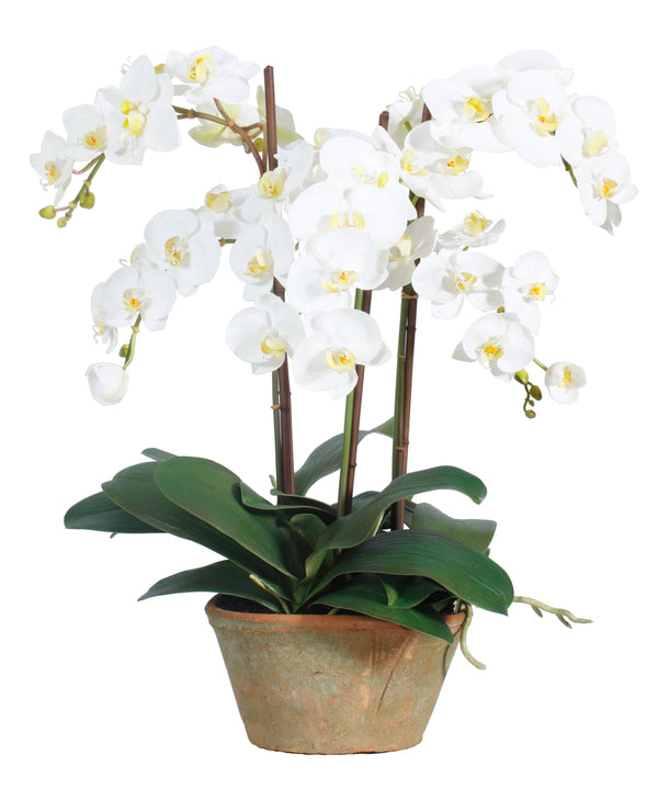 Phalaenopsis Faux Flower Potted Planter 24 inch