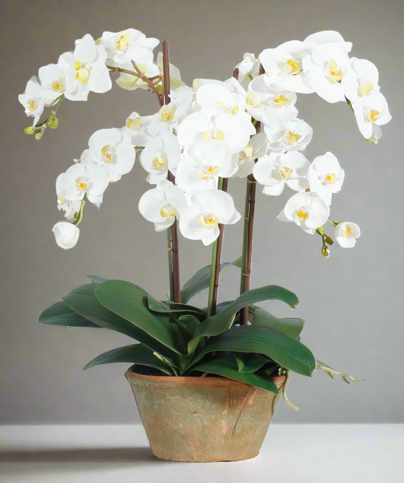 Phalaenopsis Faux Flower Potted Planter 24 inch