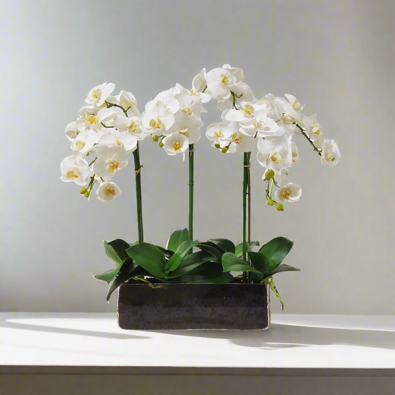 Orchid Phalaenopsis Artificial Flower In Glass 24 inch