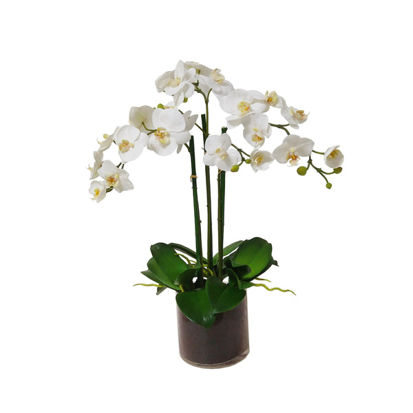 Orchid Phalaenopsis Artificial Flower In Glass Vase 19 inch