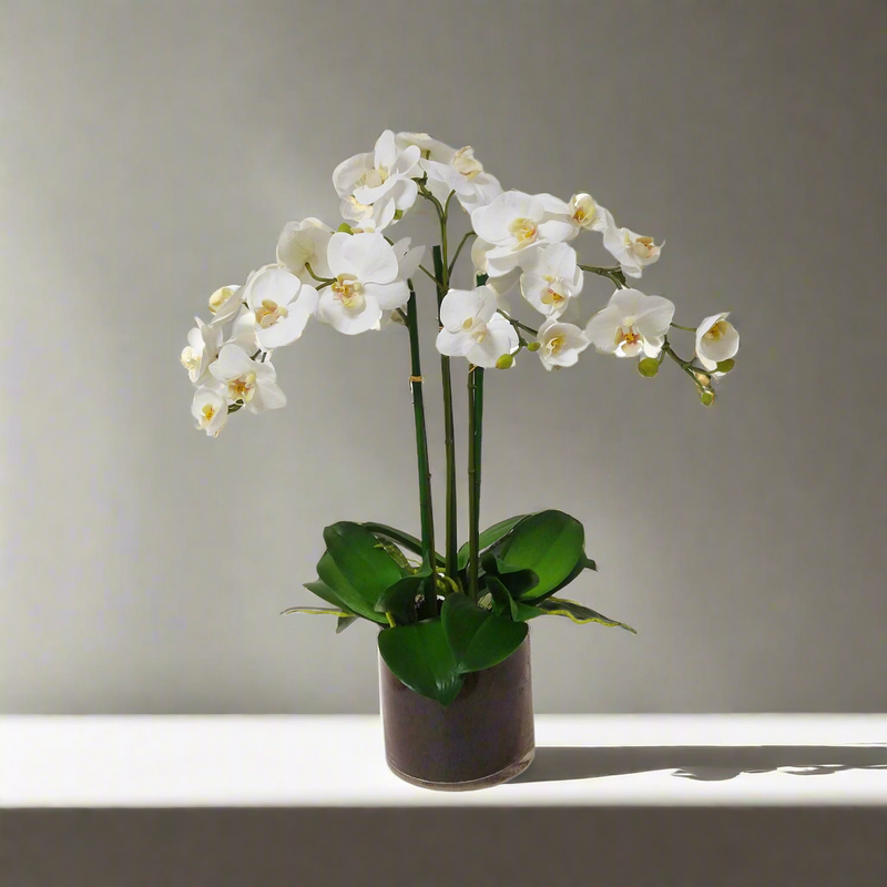 Orchid Phalaenopsis Artificial Flower In Glass Vase 19 inch