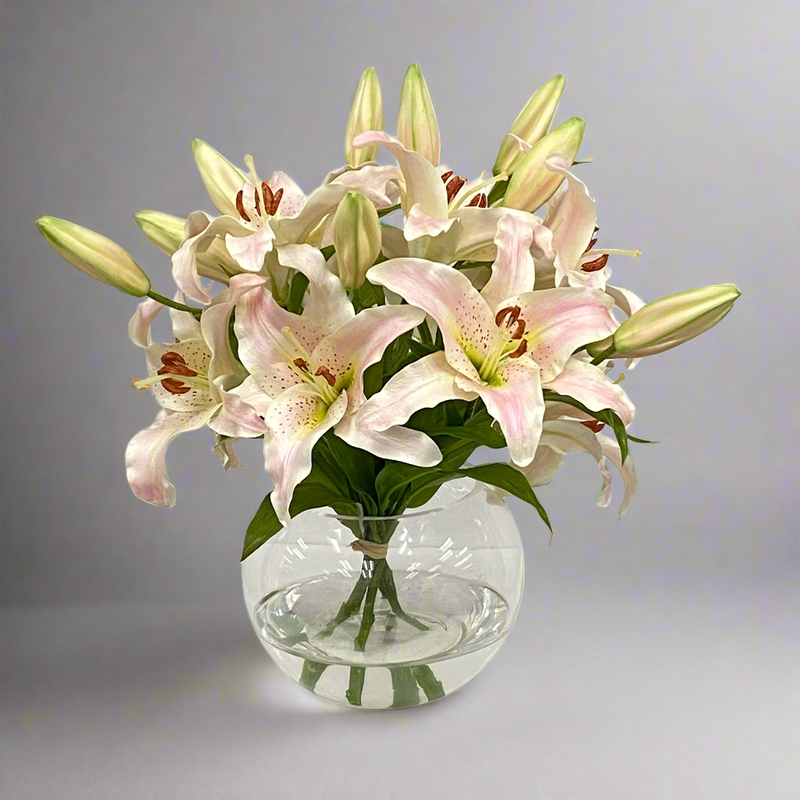 Casablanca Lily Flower Arrangement In Glass Bowl