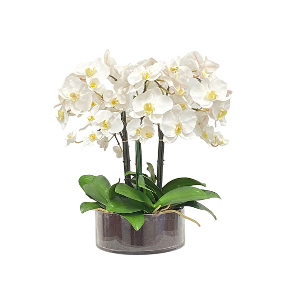 Phalaenopsis Artificial Flower Plant In Open Cylinder Vase