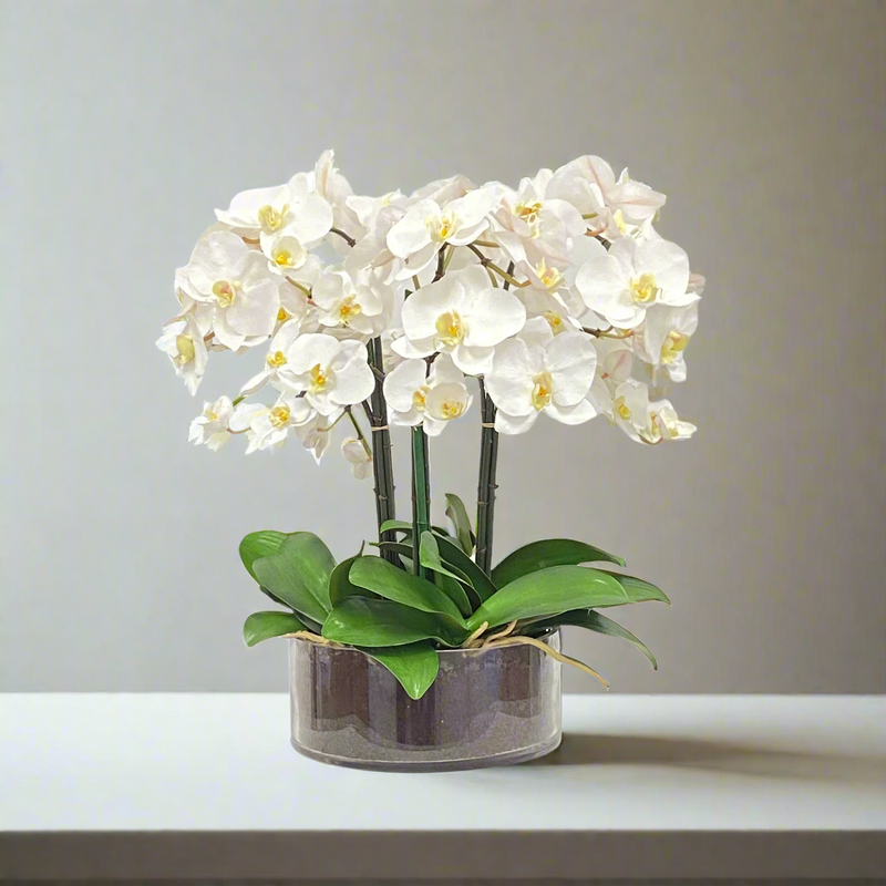 Phalaenopsis Artificial Flower Plant In Open Cylinder Vase