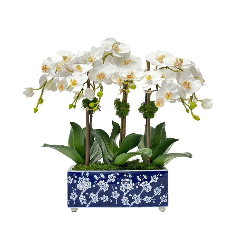 Orchid Silk Flower In Longlife Arranger