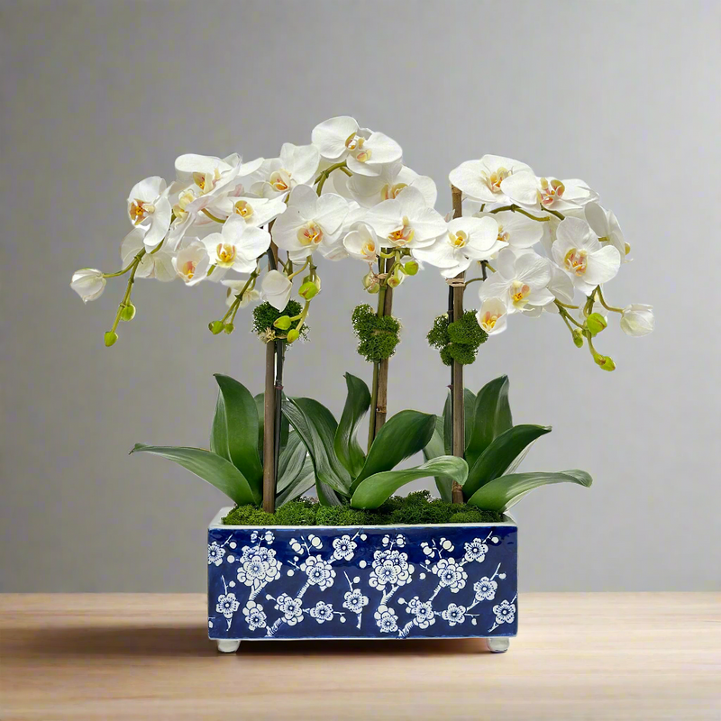 Orchid Silk Flower In Longlife Arranger