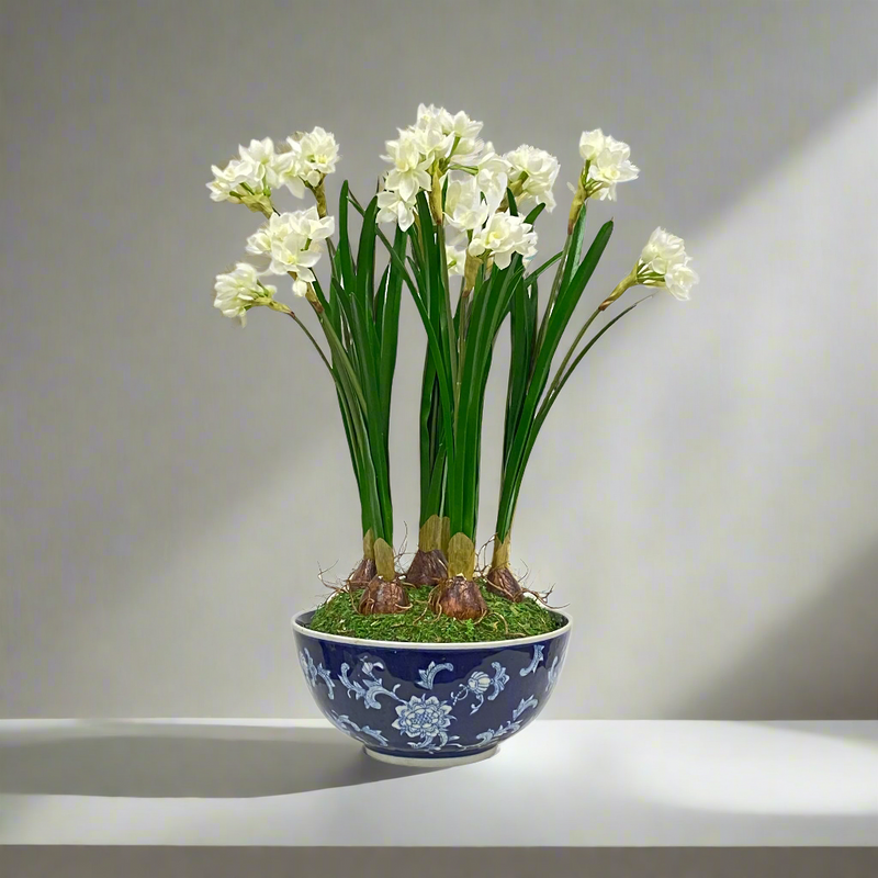 Narcissus Artificial Flower Plant In Longlife Bowl