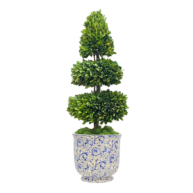 Rodeo Boxwood Artificial Plant In Cache Pot 28''