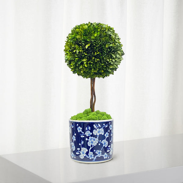 Boxwood Ball Topiary In Round Vase