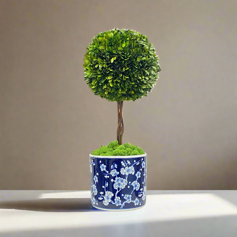 Boxwood Ball Topiary In Round Vase